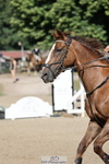 Cls 5 85cm Amateur Qualifier portfolio
