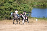 WJ6_8216