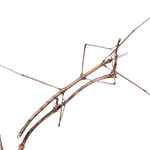 ITA_PHD_20111105-025