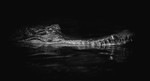 20190821-RLP_9195b