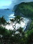 Pololu View