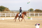 SBM_016906