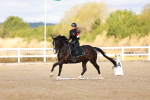 SBM_009660