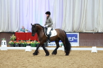 SBM_002308