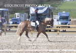BPP_9958