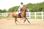 SBM_004647