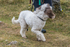 Hutton Roof-694