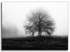Bleak Midwinter