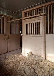 Catskill Game Farm (Catskill, NY) | Animal Pen