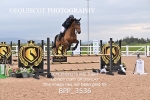 BPP_3536