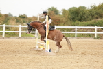 SBM_007279
