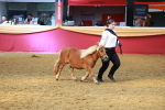 SBM_18497