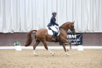SBM_007534