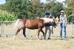 WJ6_4464