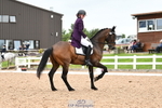 Cls 59 BD FEI PSG portfolio
