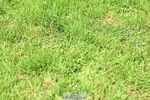250615A-122119-10677