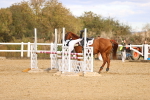 SBM_004034