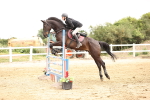 SBM_003349