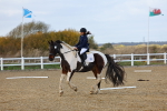 SBM_002239