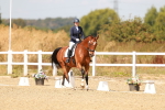 SBM_018572