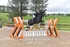 BPP_9793