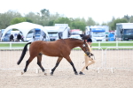 SBM_15323