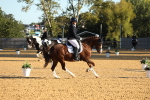 SBM_14199