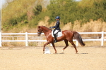 SBM_018327