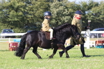 JPP_0931
