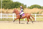 SBM_002259