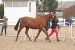 SBM_08484
