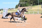 BPP_1395