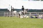 SBM_17301