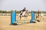 SBM_001317