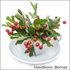 Hawthorn Berries