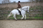 SBM_006087