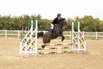 SBM_007908