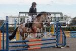 North Showjumping_2016-26