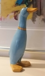 Blue Duck