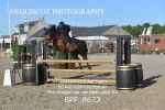 CLASS 5 1.05m Amateur Championship Qualifier/ 1.05m Open portfolio