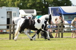 SBM_04305