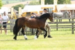 SBM_02058