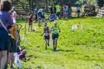The Finish-1268