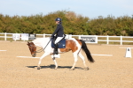 SBM_001431