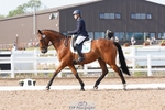 Saturday 21st UnAffiliated and RoR Classes - Click to Enter portfolio