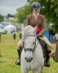 Dunblane show-650