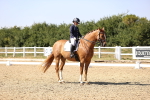 SBM_006573