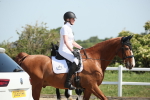 SBM_007990