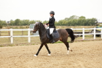 SBM_007736