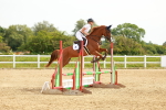 SBM_000336